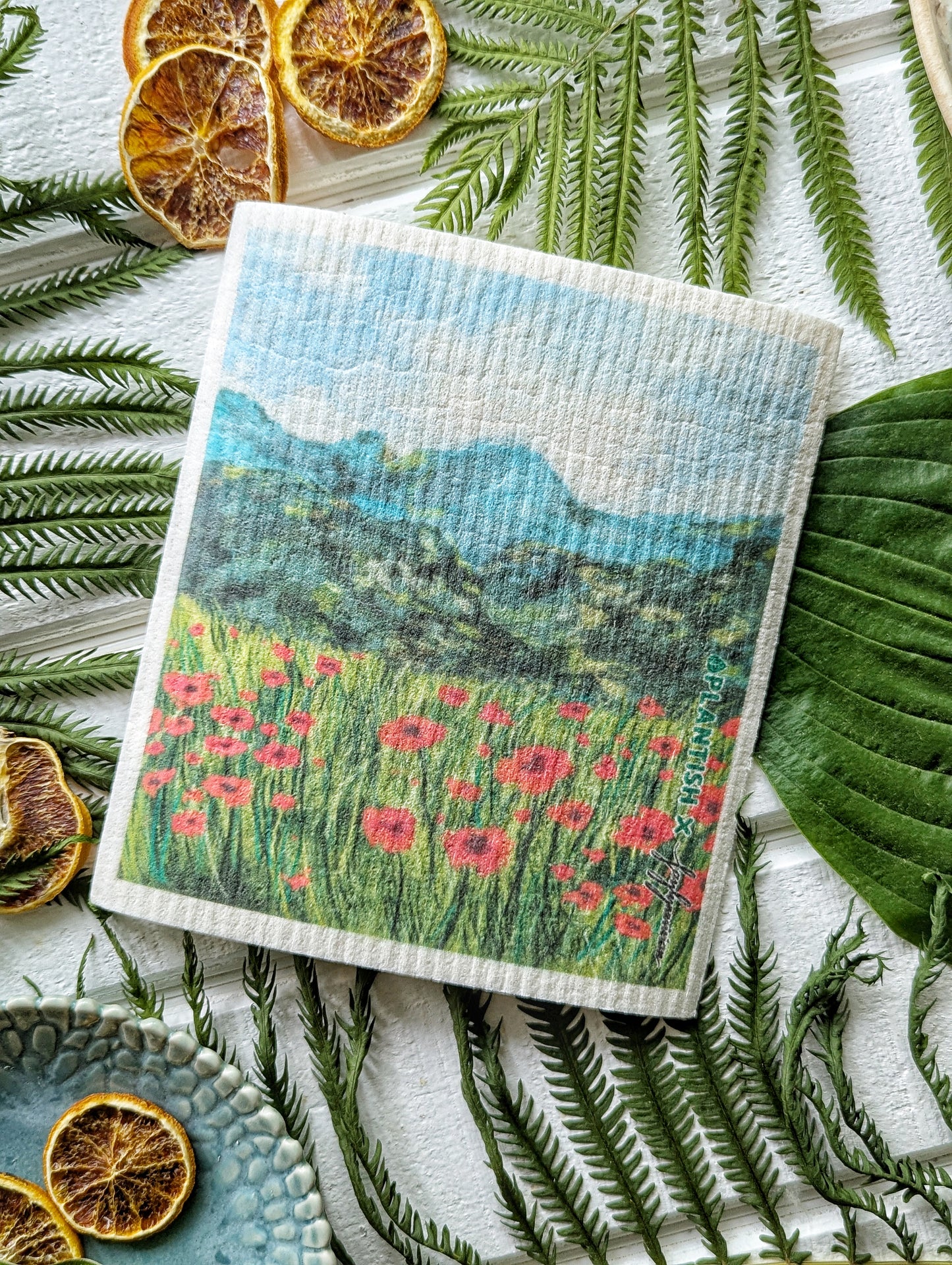 Summer Swedish Dish Cloths