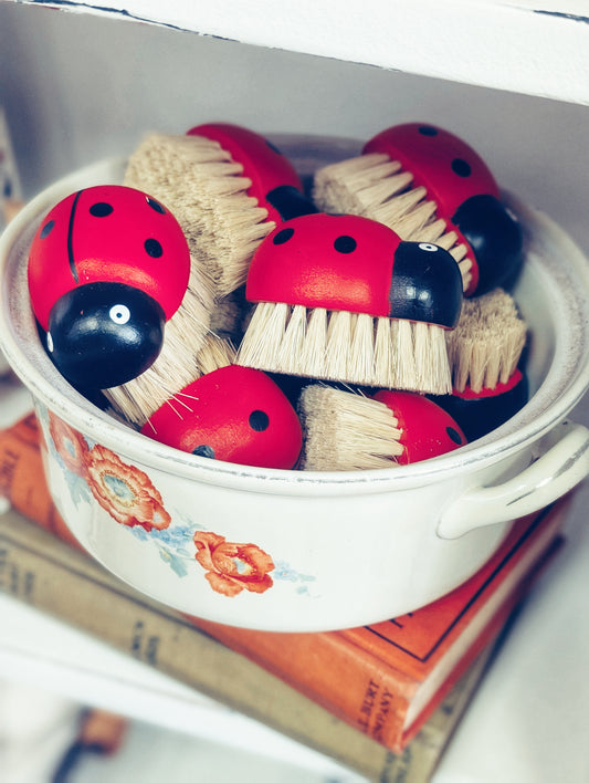 Ladybug Scrub Brush